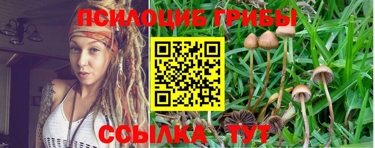 Галлюциногенные грибы мицелий Калач-на-Дону
